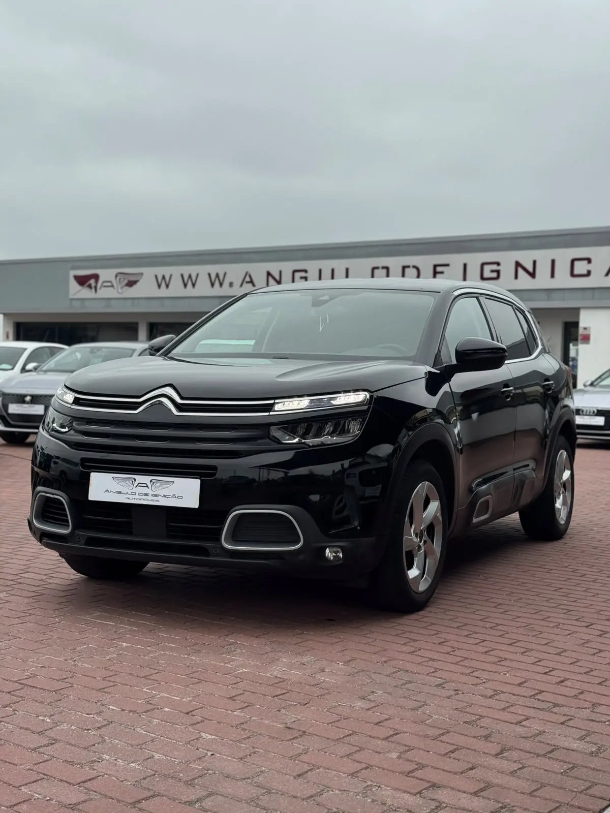 Citroen SUV 2021 2096000 170000 C5 Aircross BlueHDI 130 S&S EAT8 MAX Automática