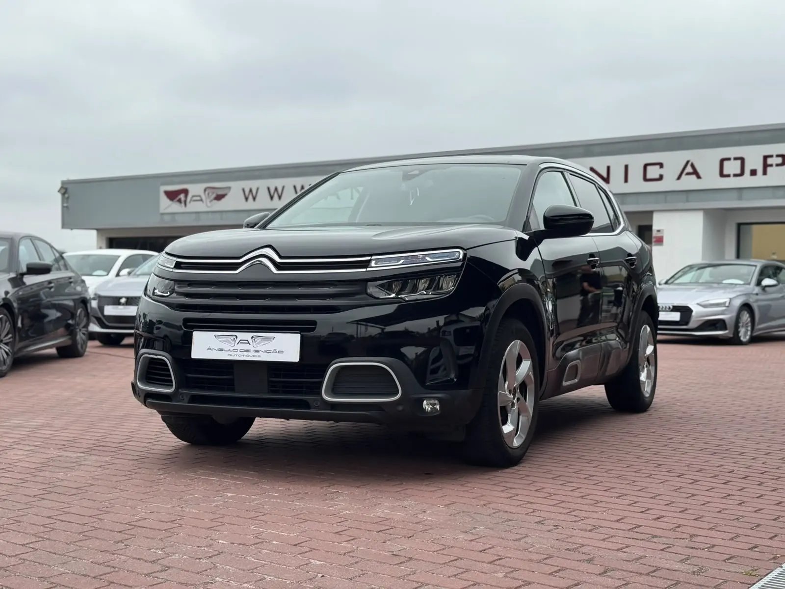 Citroen SUV 2021 2096000 170000 C5 Aircross BlueHDI 130 S&S EAT8 MAX Automática